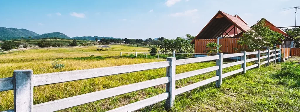 how to start a homestead