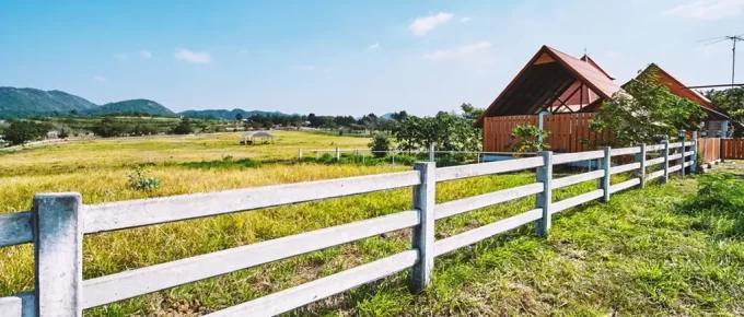 how to start a homestead